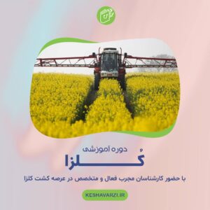 دوره آموزش کشت کلزا