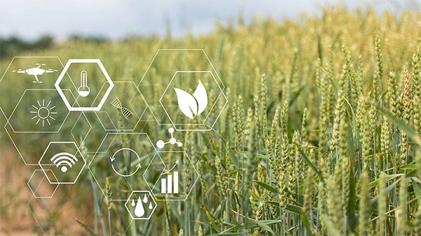استفاده از فناوری‌های جدید در کشاورزی جهان