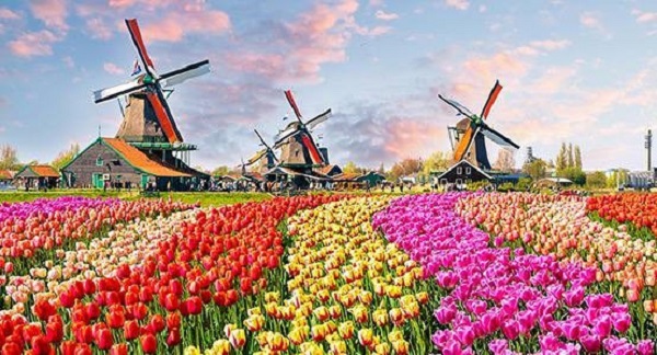 کشاورزی در هلند