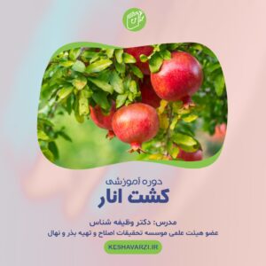 دوره آموزش تخصصی کشت انار