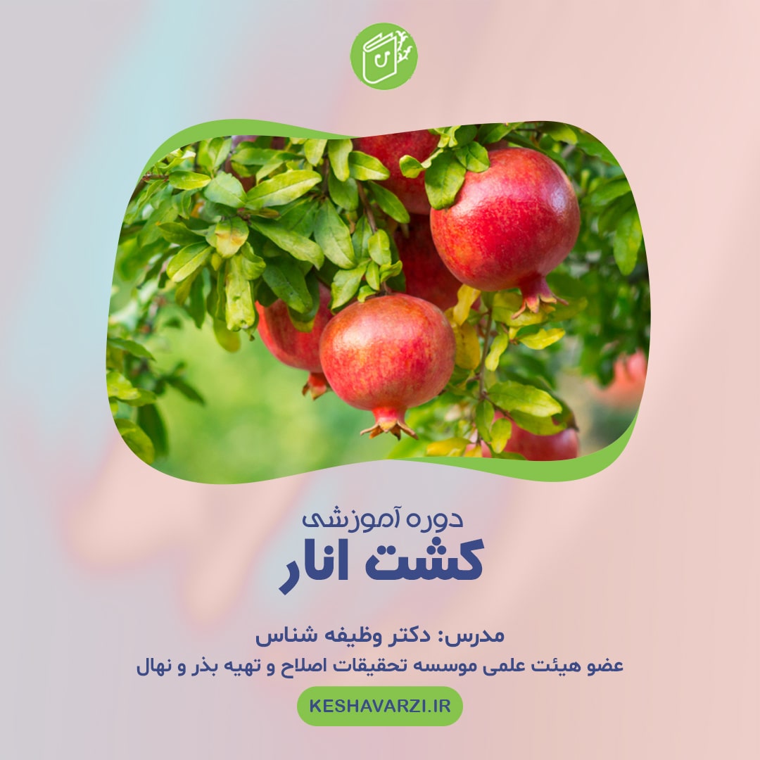 دوره آموزش تخصصی کشت انار