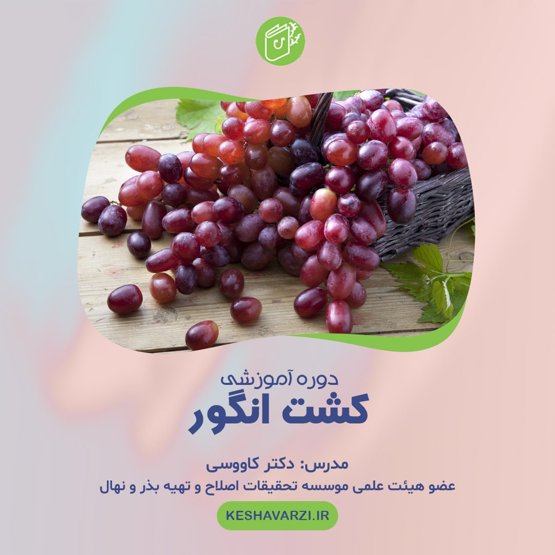 دوره آموزش تخصصی کشت انگور