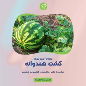 دوره آموزش کشت هندوانه