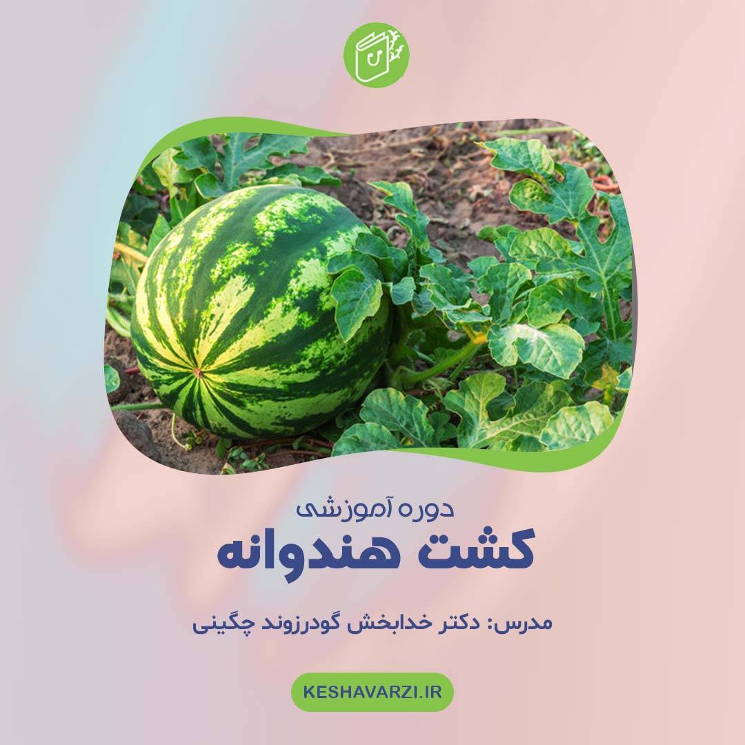 دوره آموزش کشت هندوانه