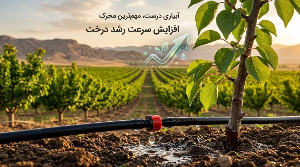 مهم ترین روش های افزایش رشد سرعت درخت